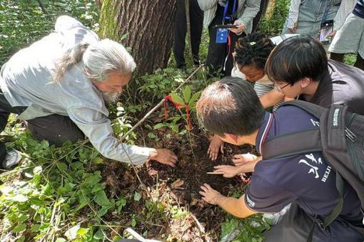 外国青年长白山寻参：感悟“仙草”千百年不绝之理