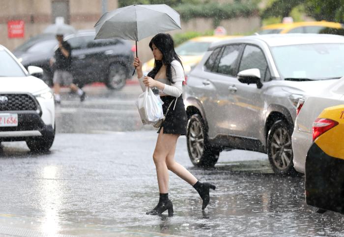 台湾多个县市遭遇强降雨 台北有路树倒伏