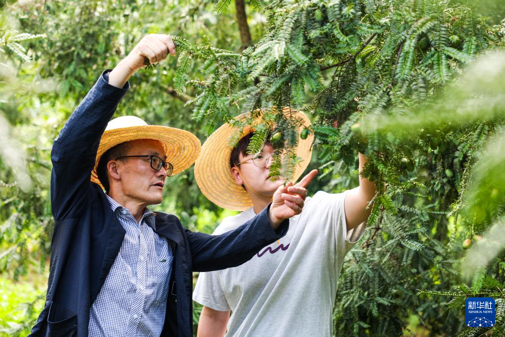 文化中国行·传统村落人文影像志｜花明泉村：会稽山麓揆文奋武的江南古村