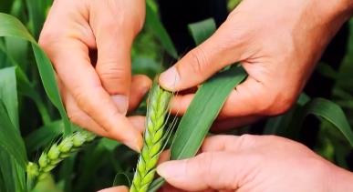 多地抢抓“春播期” 提高粮食生产能力