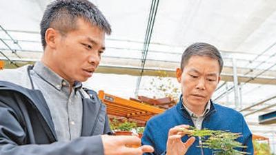 一茬接一茬、一代接一代干下去（干部状态新观察）