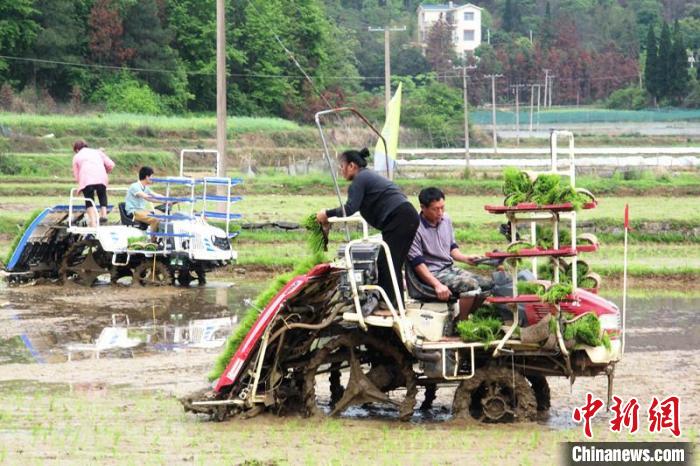 粮食生产大区湖南零陵农机“大军”助春耕再提速