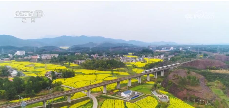 各地“赏花经济”释放“美丽”活力 为乡村发展注入蓬勃动能