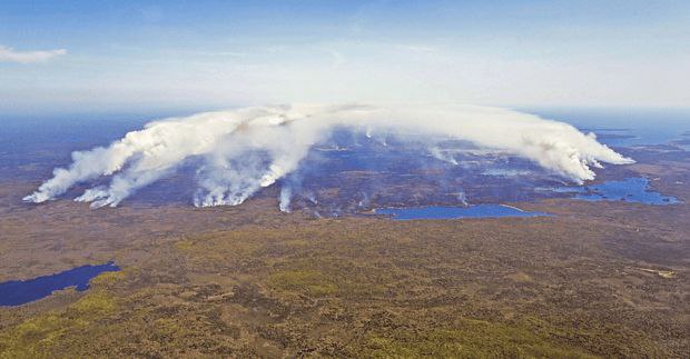 加拿大或遭遇史上最严重野火灾害，已过火面积相当于一个比利时