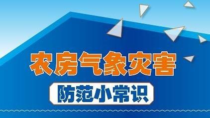 极端天气 农村房屋如何防灾？一图看懂