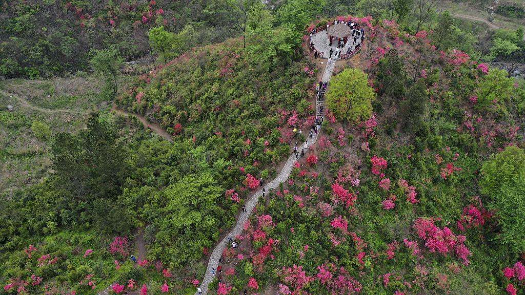 赏花踏青正当时 美丽中国彰显发展新活力