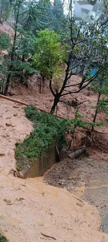 阿根廷东南部遭遇暴风雨至少1人死亡