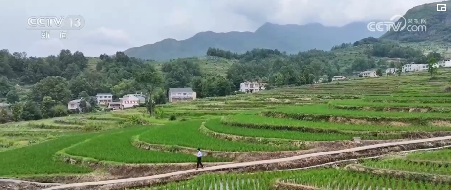 文化中国行 | 书写四季如诗的注脚 南北文化碰撞焕发新活力