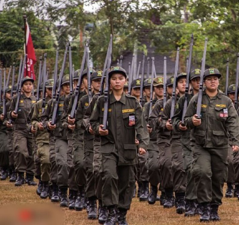 参议员罗纳德·德拉罗认为将外国学生纳入拟议的强制性后备军官训练团